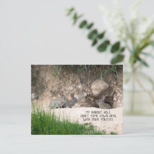 Politisches Kaninchen Hole Bunny Foto Politischer  Postkarte