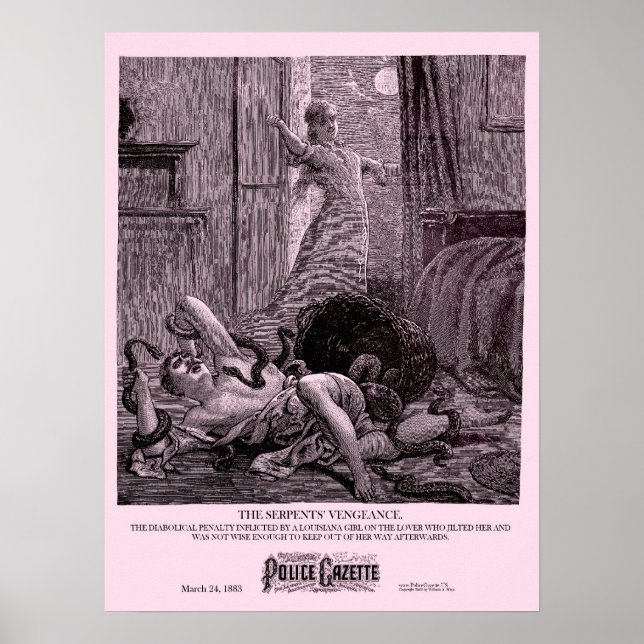 Polizei-Gazette-Plakat der Vergeltung Poster (Vorne)