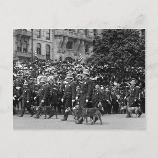 Polizeihunde auf Parade: Anfang des 19. Jahrhunder Postkarte