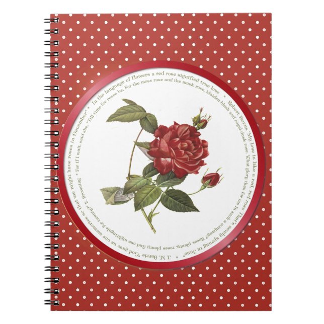 Polka Dot Blume Bedeutung - Rote Rose Notizblock (Vorderseite)