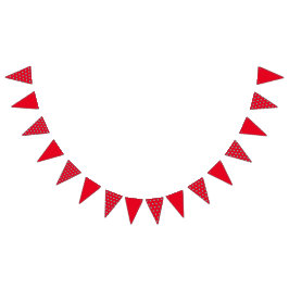 Polka Dot Party Banner (Red & Aqua)