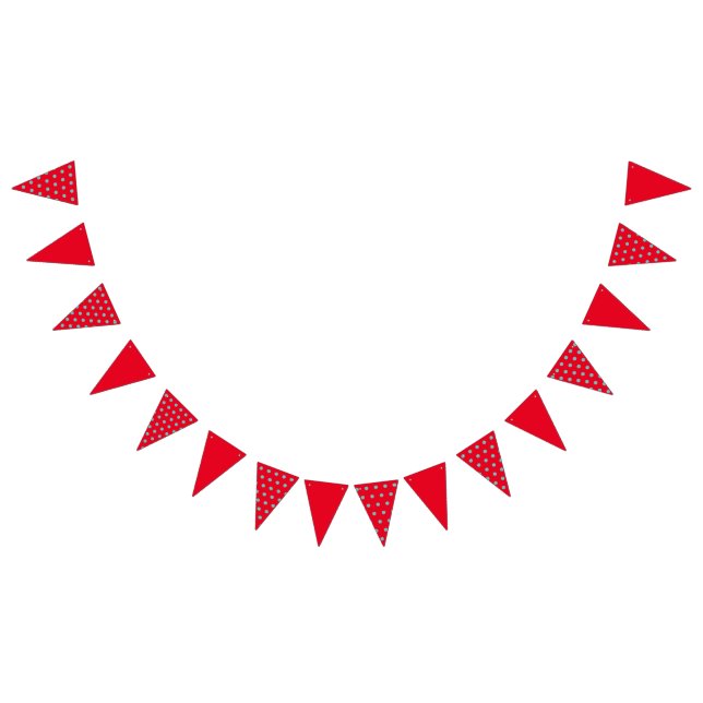 Polka Dot Party Banner (Red & Aqua) (Alle)