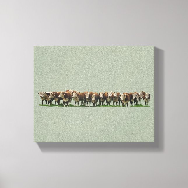 Poll Herefords Leinwanddruck (Vorderseite)