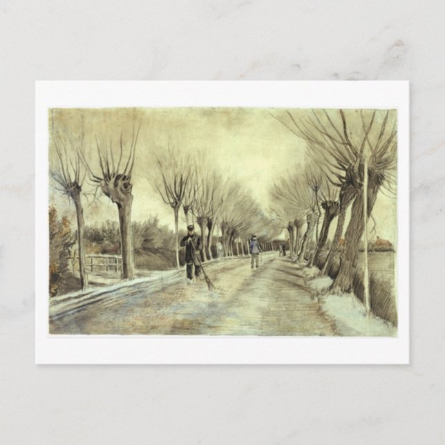 Pollard Willows, Mann mit Raum, Van Gogh Fine Art Postkarte (Vorderseite)