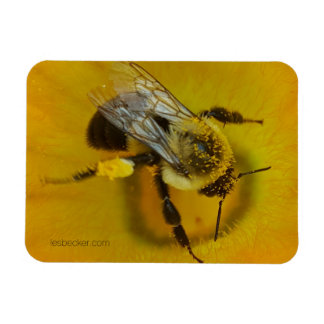 Pollenbeere Magnet