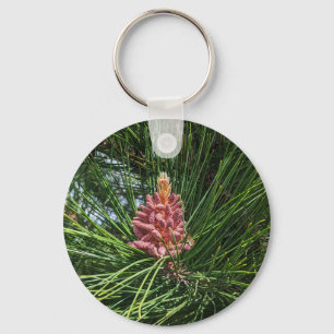 Pollenkrone (Pinus resinosa) Schlüsselanhänger