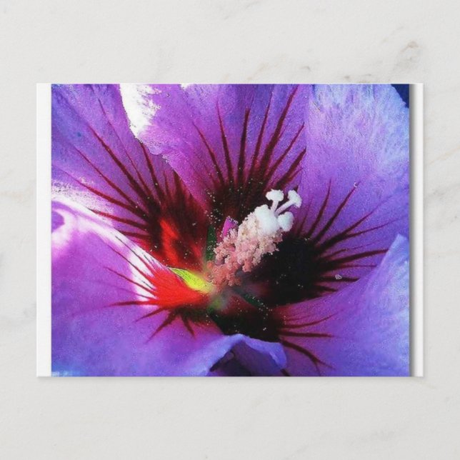 Pollenneuauflage Postkarte (Vorderseite)