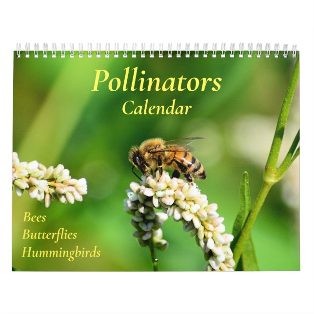Pollinator-Kalender Kalender (Titelbild)