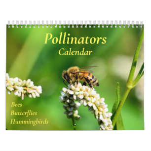 Pollinator-Kalender Kalender
