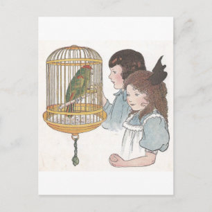 Polly der Papagei Postkarte