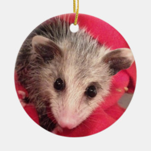 Polly Niedlich Baby Possum Keramik Ornament