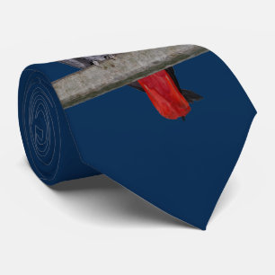 Polly Tie Double Sided Farbe (Navy) Krawatte