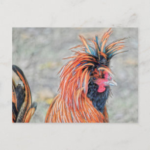 Polnisch Created Rooster Postkarte