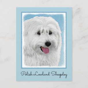 Polnisch Lowland Sheepdog Painting - Hundekunst Postkarte