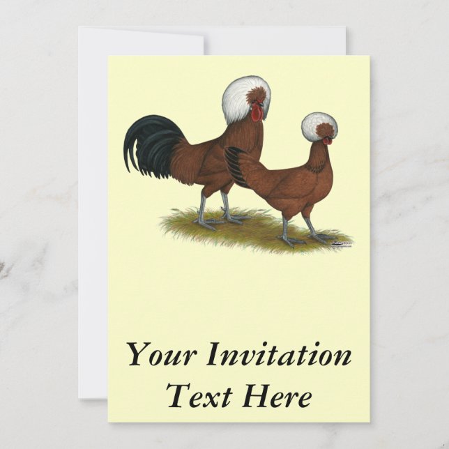 Polnisch: White Crested Reds Einladung (Vorderseite)