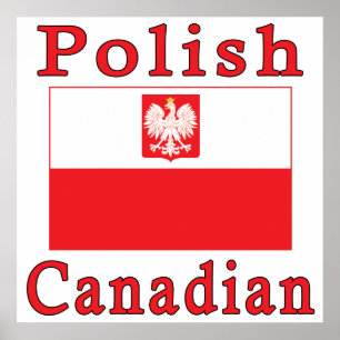 Polnische Falkenflagge Poster