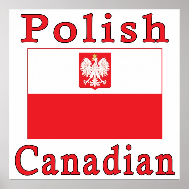 Polnische Falkenflagge Poster (Vorne)