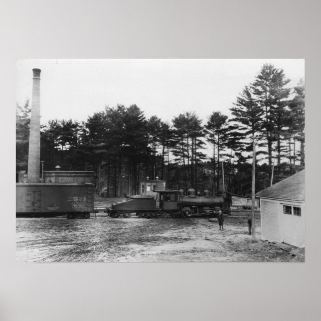 Polnische Frühjahrsbahn Poster (Vorne)