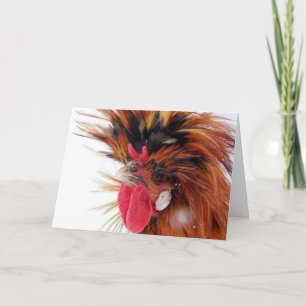 Polnische Rooster Winterschnee Weihnachten