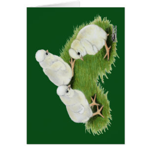 Polnische Splash Chips