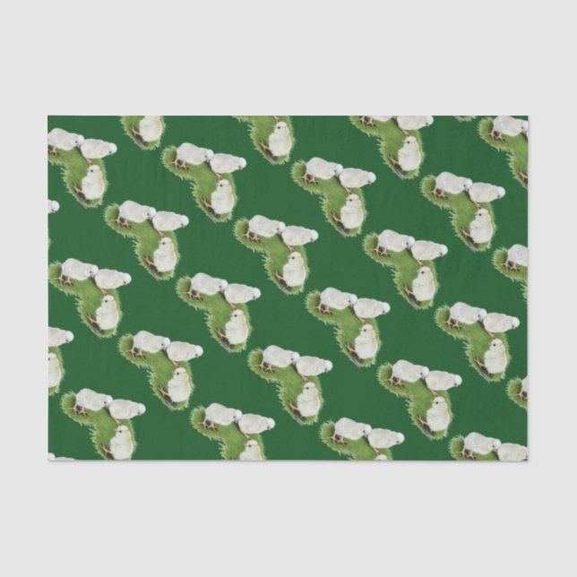 Polnische Splash Chips Seidenpapier (Vorderseite)