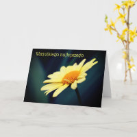 Polnischer Geburtstag Sto Lat Daisy Blume