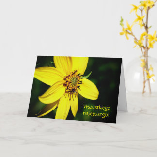 Polnischer Geburtstag Sto Lat Sonnenblume Karte