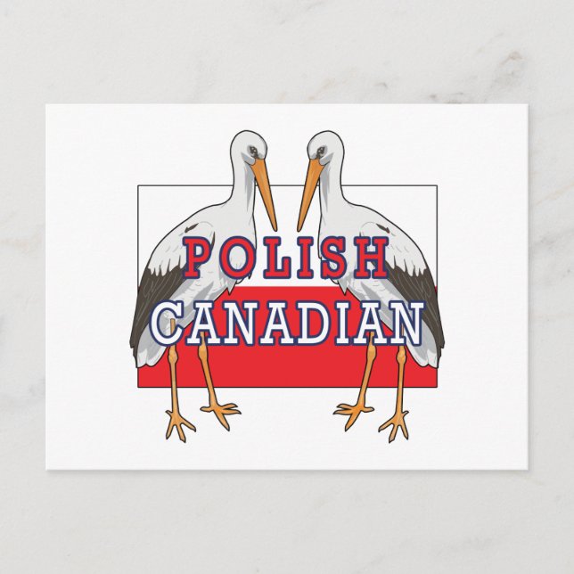 Polnischer Kanadier Stork Postkarte (Vorderseite)