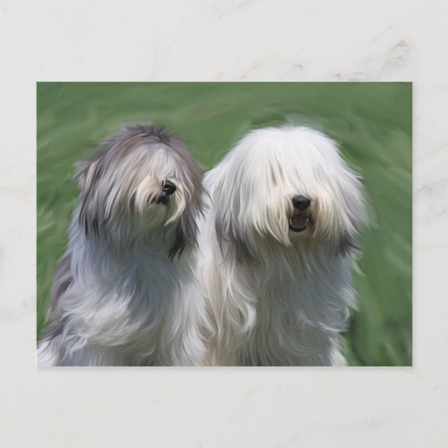 Polnischer Tiefland Postkarte (Vorderseite)