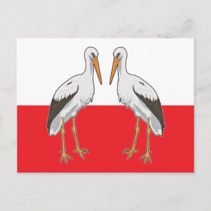 Polnischer Weißstorch Postkarte