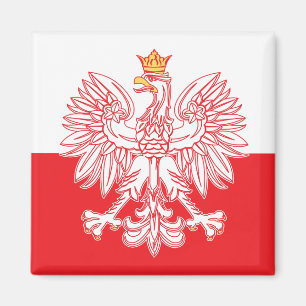 Polnisches Eagle umrissen im Rot Magnet