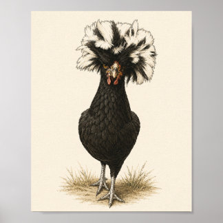 Polnisches Huhn Hühner Kunstposter, Vintage Farmho Poster