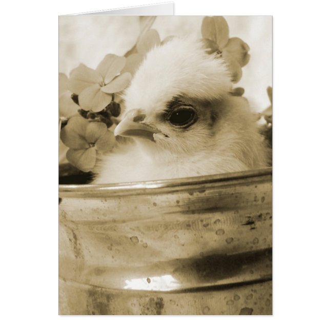 Polnisches Kiche in Sepia (Vorne)