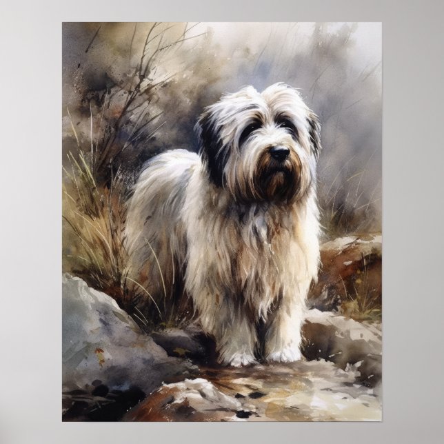 Polnisches Lowland Sheepdog Hund Art Print Poster (Vorne)