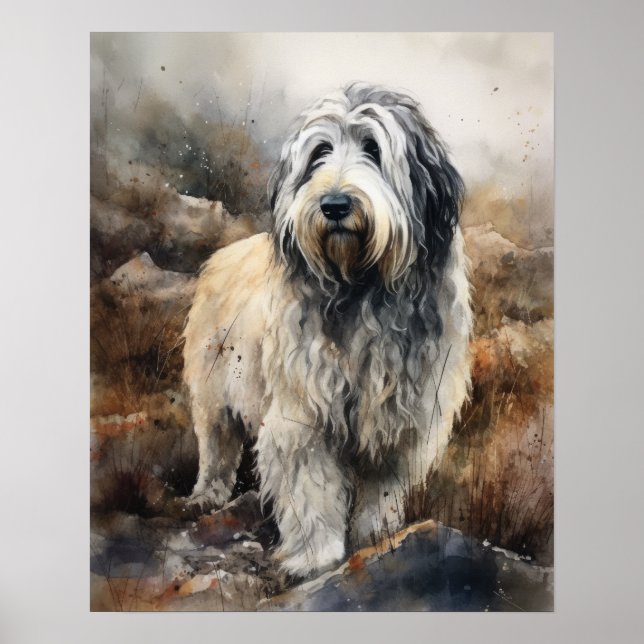 Polnisches Lowland Sheepdog Hund Art Print Poster (Vorne)