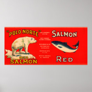 Polo Norte Marken-Lachs-Aufkleber San Francisco, Poster