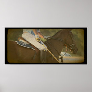 Polo-Pferd Poster