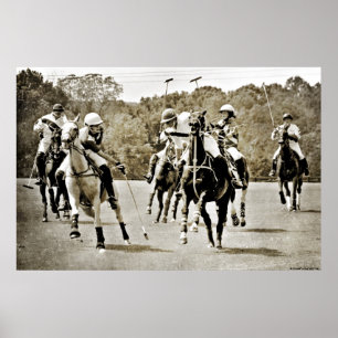 Polo Pferde Galopp Poster