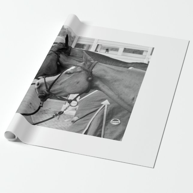 Polo Pony Packpapier (Ungerollt)