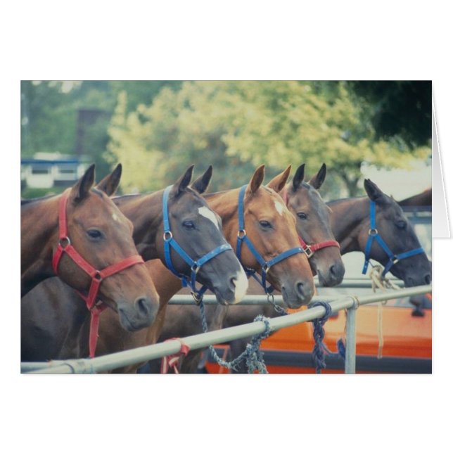 Polo Pony String (Vorderseite (Horizontal))