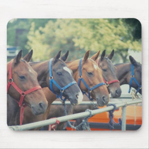 Polo Pony String Mousepad