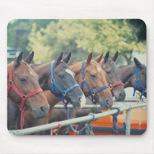 Polo Pony String Mousepad (Vorne)