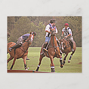 Polo Post Card Postkarte