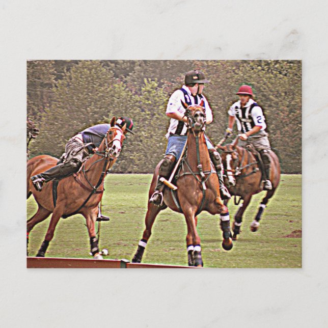 Polo Post Card Postkarte (Vorderseite)