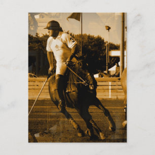Polo Postcard Postkarte