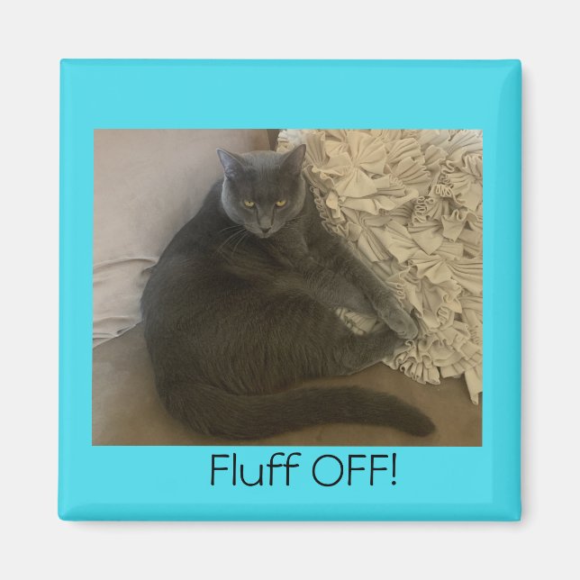 Polo the cat Fluff Off magnet (Vorne)