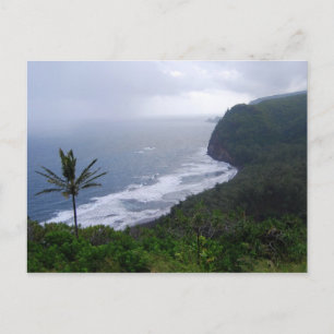 Pololu Valley Lookout mit Palm Tree, Hawaii, Post Postkarte
