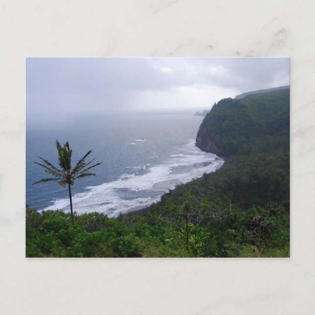 Pololu Valley Lookout mit Palm Tree, Hawaii, Post Postkarte (Vorderseite)