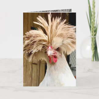 Polsterhühnchen "Coop haare don't care!" 5"x7" Kar Karte