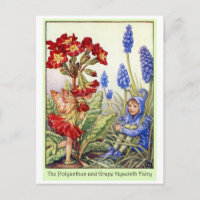 Polyanthus and Grape Hyacinth Fairy